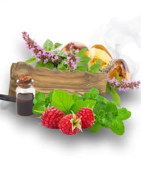 White Musk Clean Fragrance - Clean Fragrances